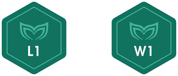 Lap 1 & Wave 1 Certification Badge