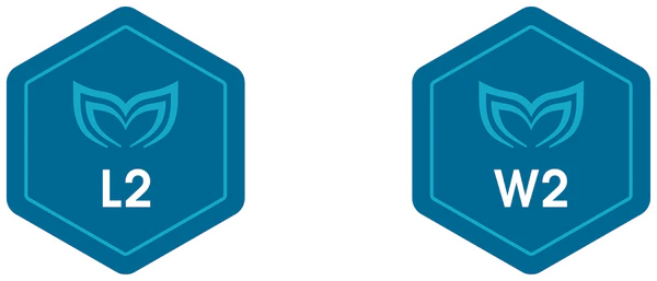 Lap 2 & Wave 2 Certification Badge
