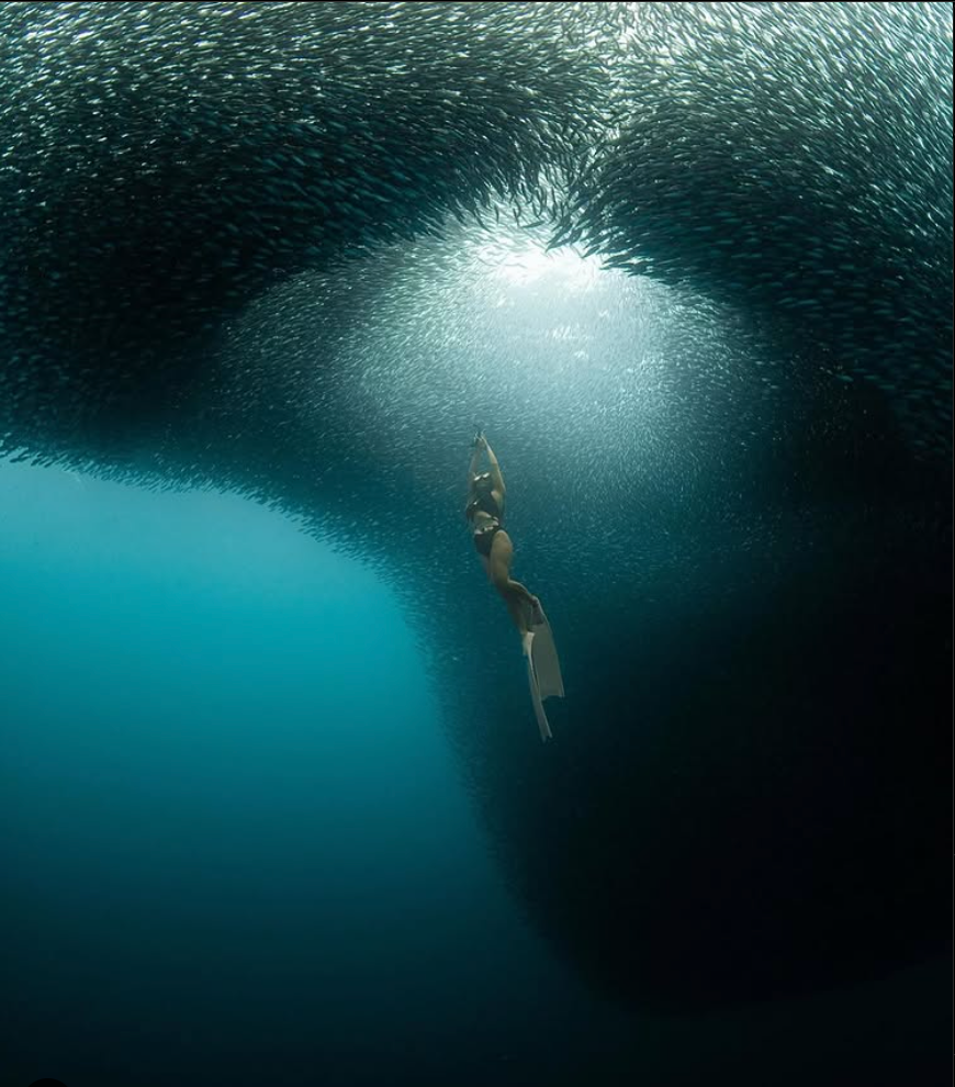Napaling Sardines